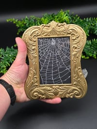 Image 3 of Vintage art nouveau brass frame with real preserved web. 