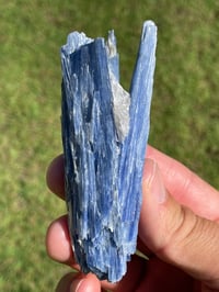 Image 5 of Blue Kyanite & Quartz Specimen #1897