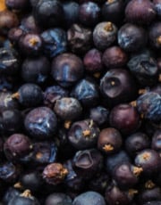 Juniper berries 