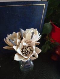 Image 1 of Fall Collection: Water Lily Mix