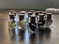 Image 1 of Butterfly Wing Jars