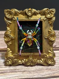 Image 1 of Rainbow Widow in Gold