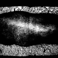 Image 23 of Anders Petersen "French Kiss"