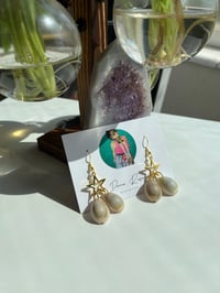 Stars with Shells Earrings 