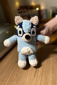 Image 4 of Blue Heeler Dog