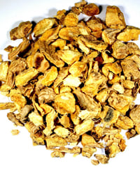 Ginger
