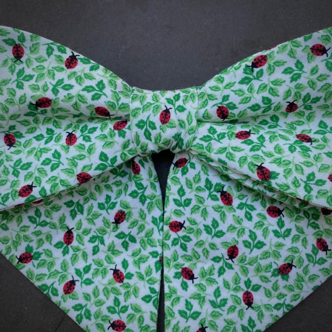 Ladybug Bow *one of a kind*