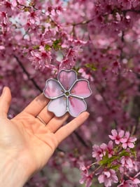 Image 3 of Cherry Blossom (Small)