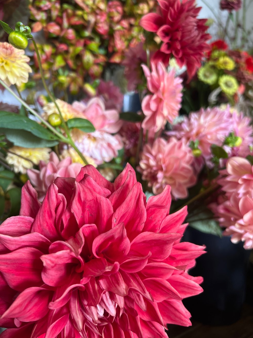 Image of LARGE BOUQUET 