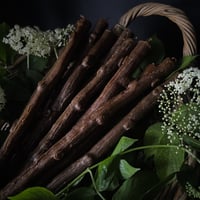 Elder Branch Candke 