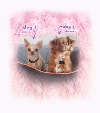 Image 5 of The diabetic dog mystery bundles