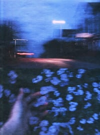 Image 2 of BLUE NIGHT, FLOWERS