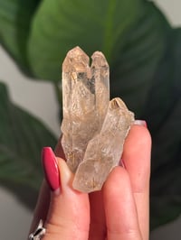 Image 4 of NATURAL RUTILE SMOKEY QUARTZ POINT -BRAZIL- K