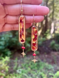 Image 2 of Evergold Earrings 