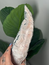 Image 5 of XL BABY PINK TURKISH AGATE WITH MOSSY INCLUSIONS