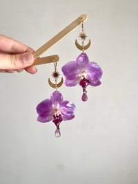 Image 2 of 🌸Moon & Sun Violet Orchids🌸