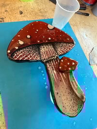 Image 1 of Red Mushrooms