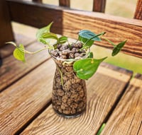 Image 2 of 1lb Organic Leca Clay Balls