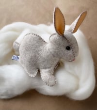 Image 1 of Large Spring Bun 