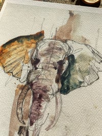 Image 5 of Print Elephant 