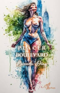 Image 1 of Placer Boulevard 