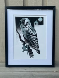 Image 3 of Barn owl 