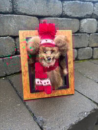 Image 1 of Scared Little Coward (framed mink)