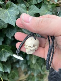 Image 3 of Fallow antler Skull pendant 