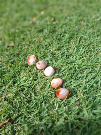 Image 1 of Carnelian Egg Carvings