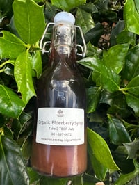 Organic Elderberry Syrup 8oz