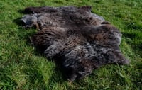 Image 2 of Harting Black Sheepskin #3