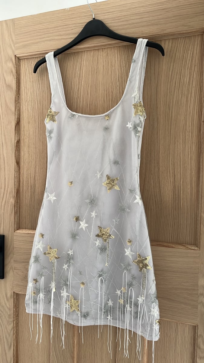 The Starry Night Dress. Star Embelleshed Grey Tulle, White Velvet Dress |  ECcentric Clothing