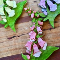Image 4 of Foxglove brooch - pink