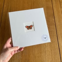 Image 2 of Various 9x9 Small Butterfly Giclee Prints