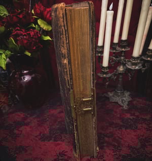 Image of Victorian Cabinet Card Photo Album