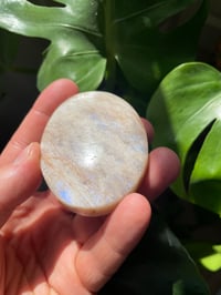 Image 4 of Moonstone Palm Crystal (2)