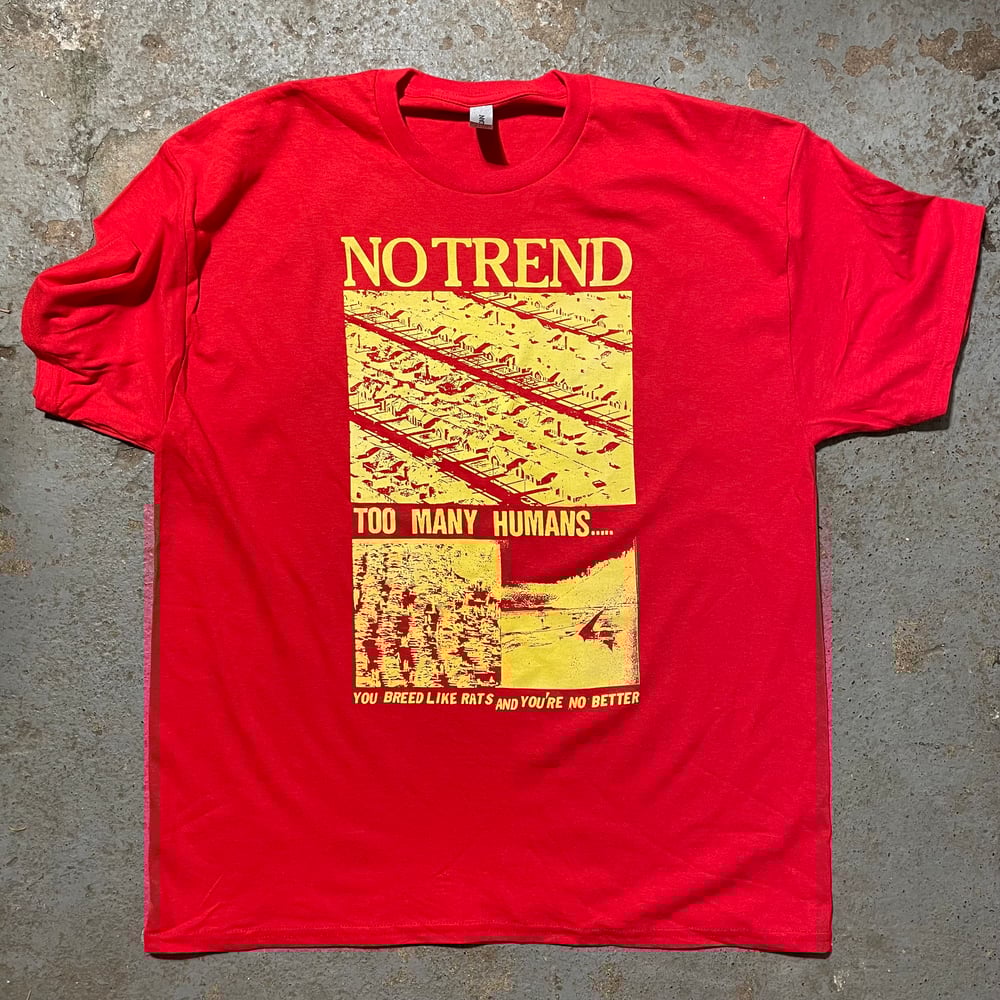 No Trend