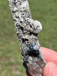 Image 9 of Coated Quartz Point & Calcite Specimen #2545
