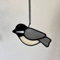 Image 2 of Chickadee