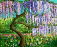 Image 1 of Wisteria 