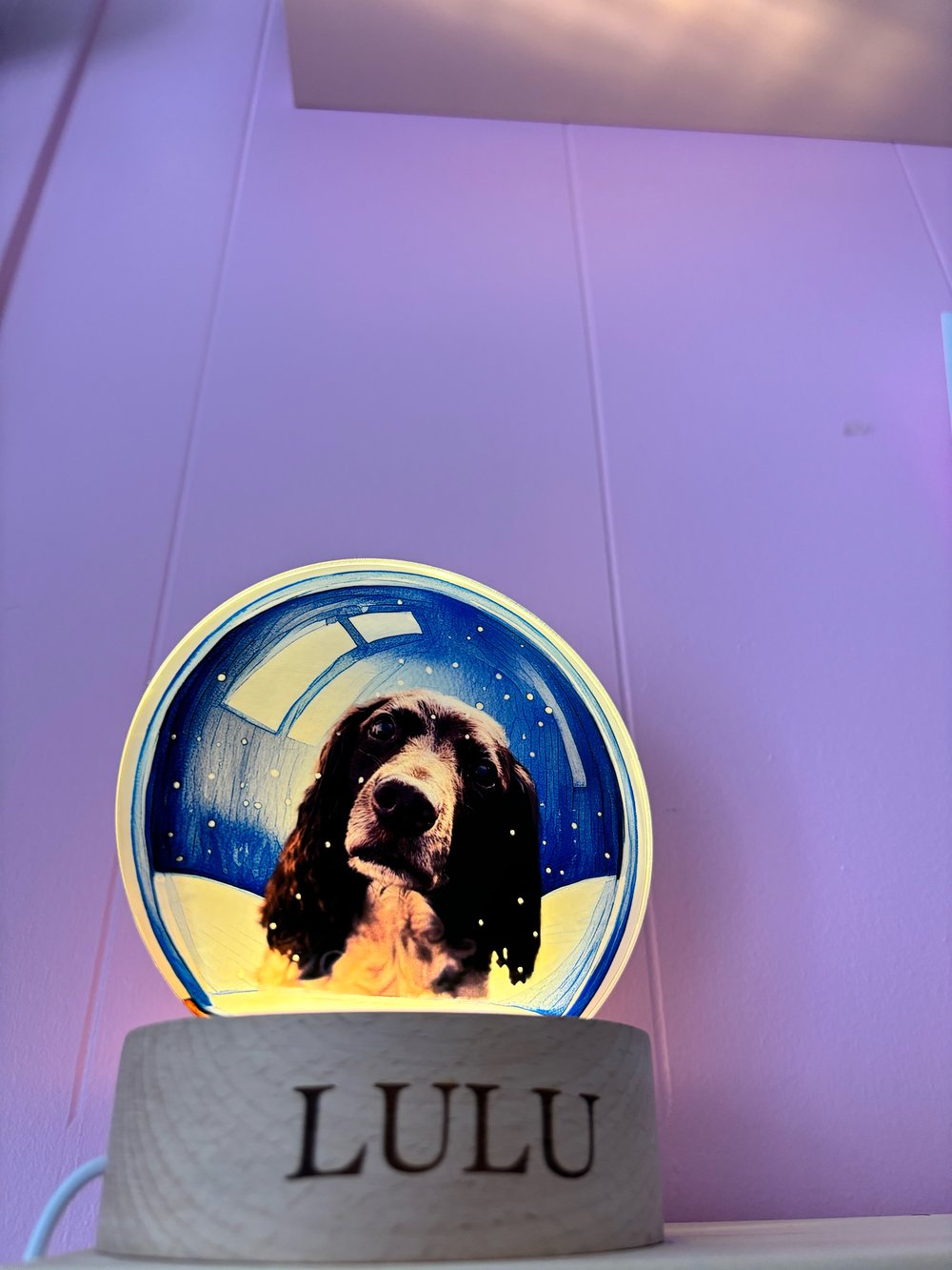 Image of Personalised Pet/loved ones snow globe