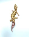 Bold Stripe Bell (PROVEN BREEDER