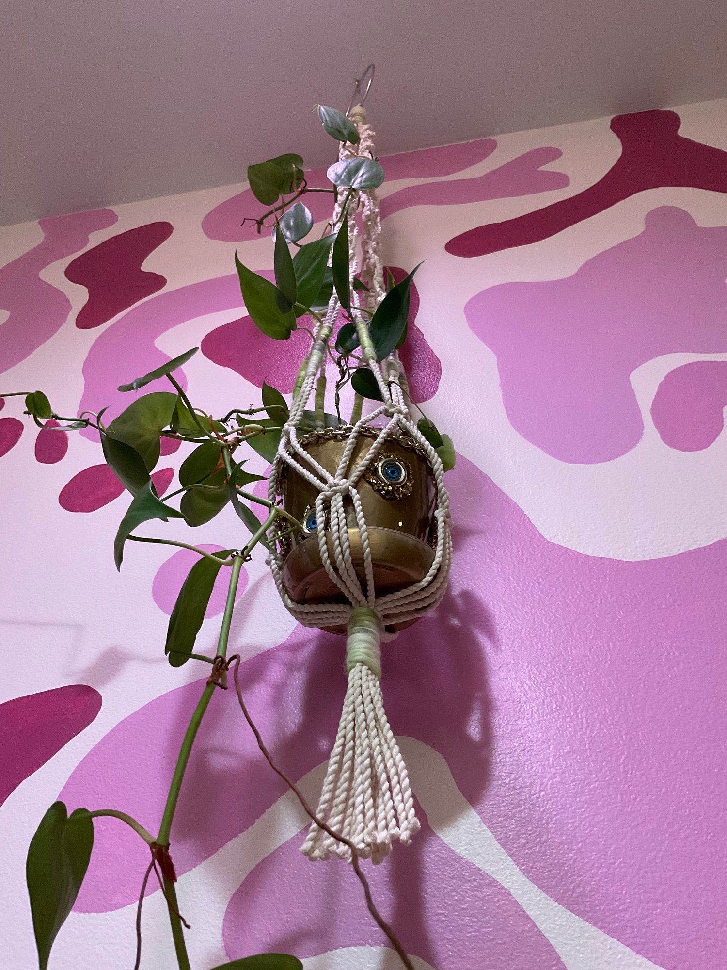 Image of Miss Moss Plant Hanger