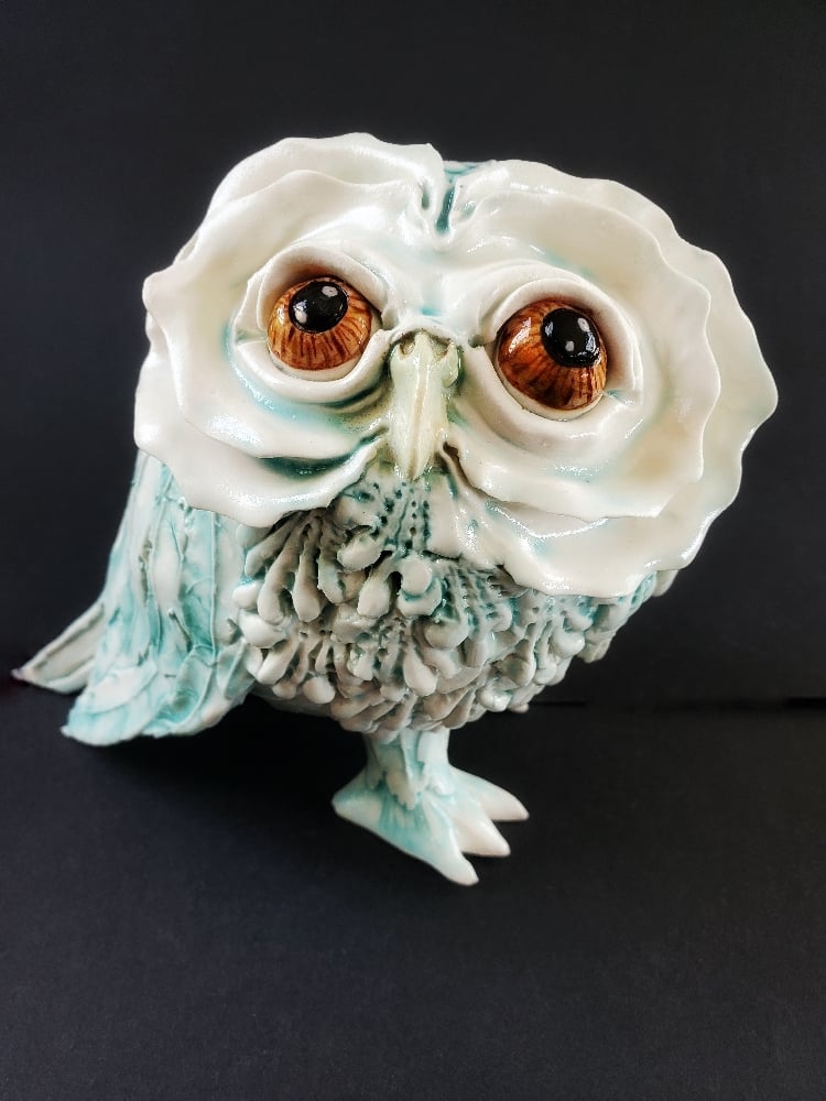 Snowy Feathered Owl #1