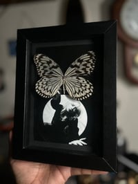Billie Eilish butterfly