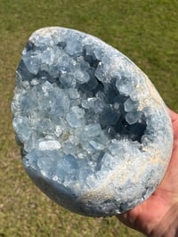 Image 7 of Celestite Cluster #1059