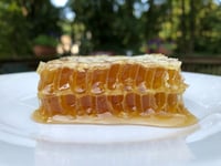 Image 4 of UNSCENTED Honey Body Bar