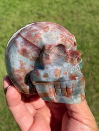 Image 7 of Ocean Jasper Skull #1760