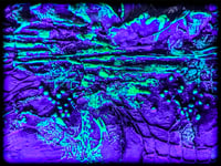 Image 14 of NeoDriFT TEXTURE 12X12" UV