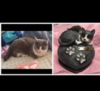 Image 12 of Custom Engraved Handpainted Cat On Pawprint Rock Urn 